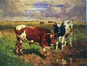 unknow artist Young bulls at a watering place Germany oil painting artist